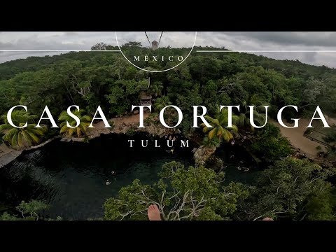 Cenotes Casa Tortuga 🐢, Lugar Imperdible En Tulum 🇲🇽 ¿Como Llegar?, Precios Y Más