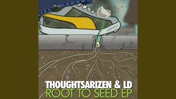Root To Seed