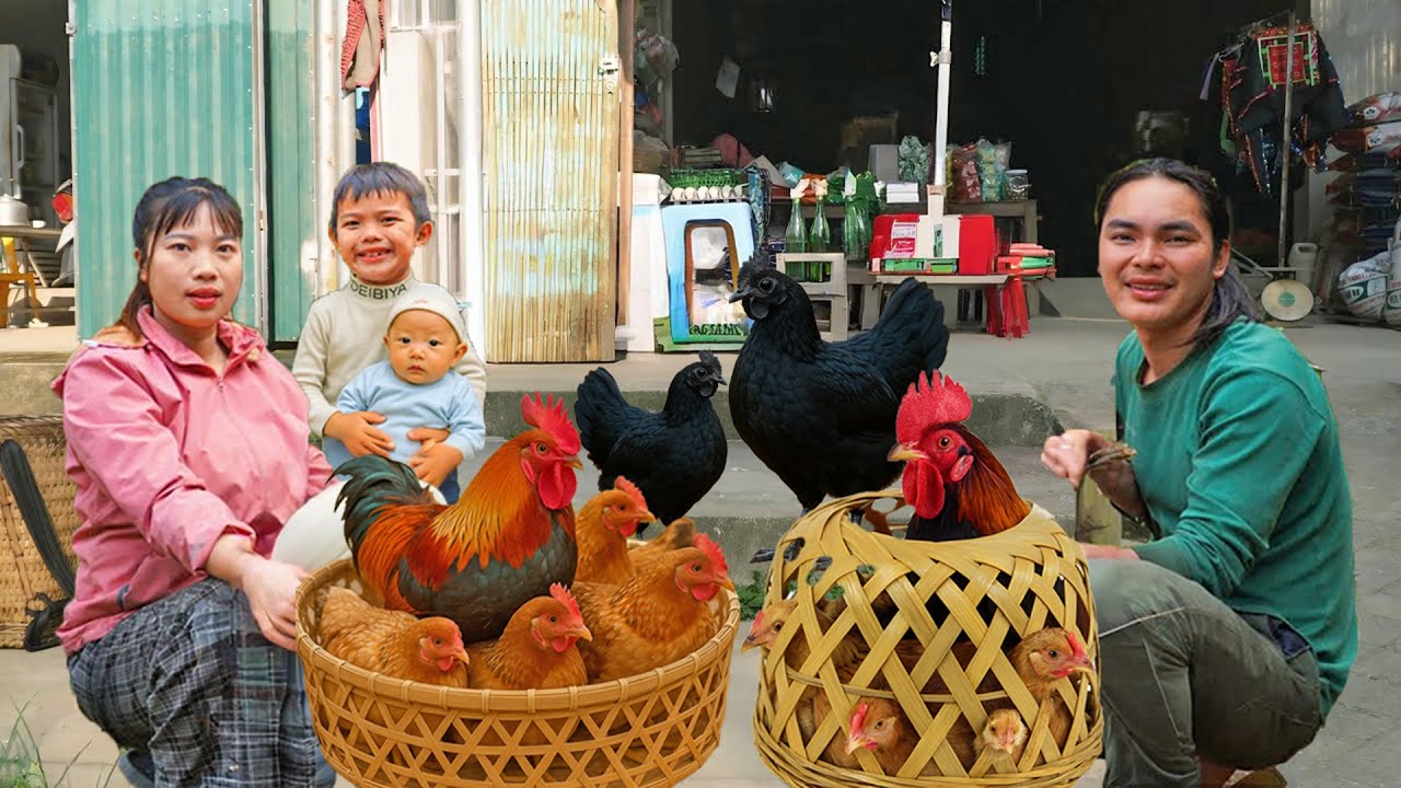 The Chickens Have Grown: Bringing Them to the Market to Sell - Life in the Forest | SURVIVAL ALONE