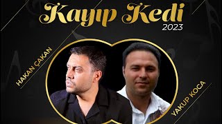 Hakan Çakan & Yakup Koca - Kayıp Kedi 2023  Resimi