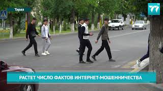 РАСТЕТ ЧИСЛО ФАКТОВ ИНТЕРНЕТ-МОШЕННИЧЕСТВА