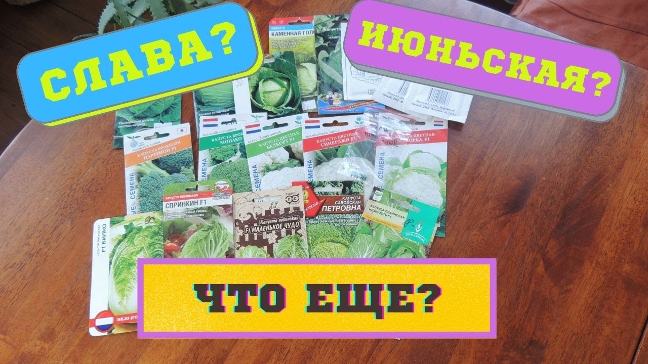 Пасека Скупновых Новое Видео 2022 Года Пасека Скупновых Новое Видео 2022 Года