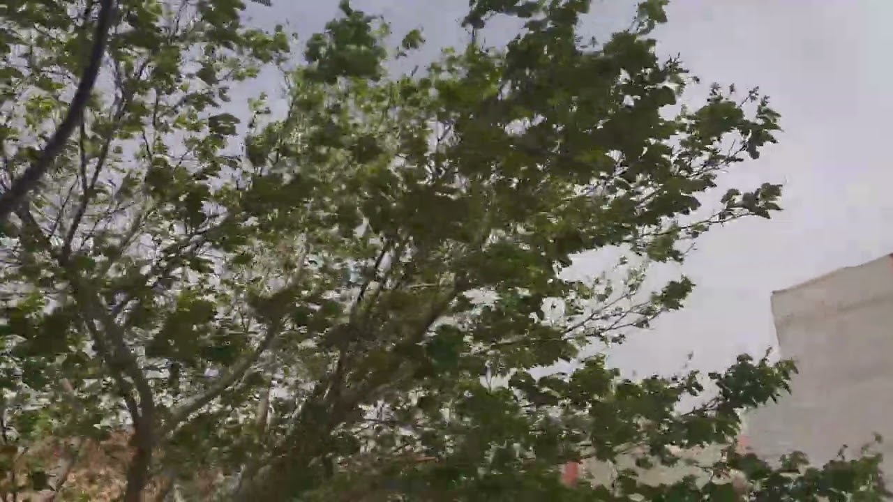 رياح قوية جدا اليوم وجو مغيم في المغرب بمراكش بتمنصورت