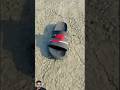 Zombie ne chappal Mai virus falaDiya#funny#comedy#shortsfeed#youtubeshorts#viralvideo