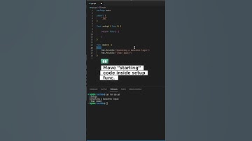 Golang Function Setup and Tear Down Using Defer