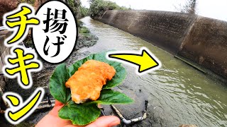 生活排水にチキンを落としたら速攻でヌシが釣れました【巨大水路】