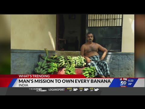 Man's mission to own every species of banana
