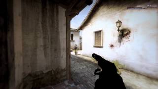 CS:GO Optimus in Action[USP Ace]