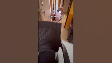 this is next level chat gpt