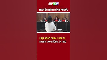 Phạt Ngọc Trinh 1 năm tù nhưng cho hưởng án treo #shorts  | BPTV