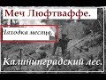 Меч Люфтваффе или коп в Железном лесу.Калининград.