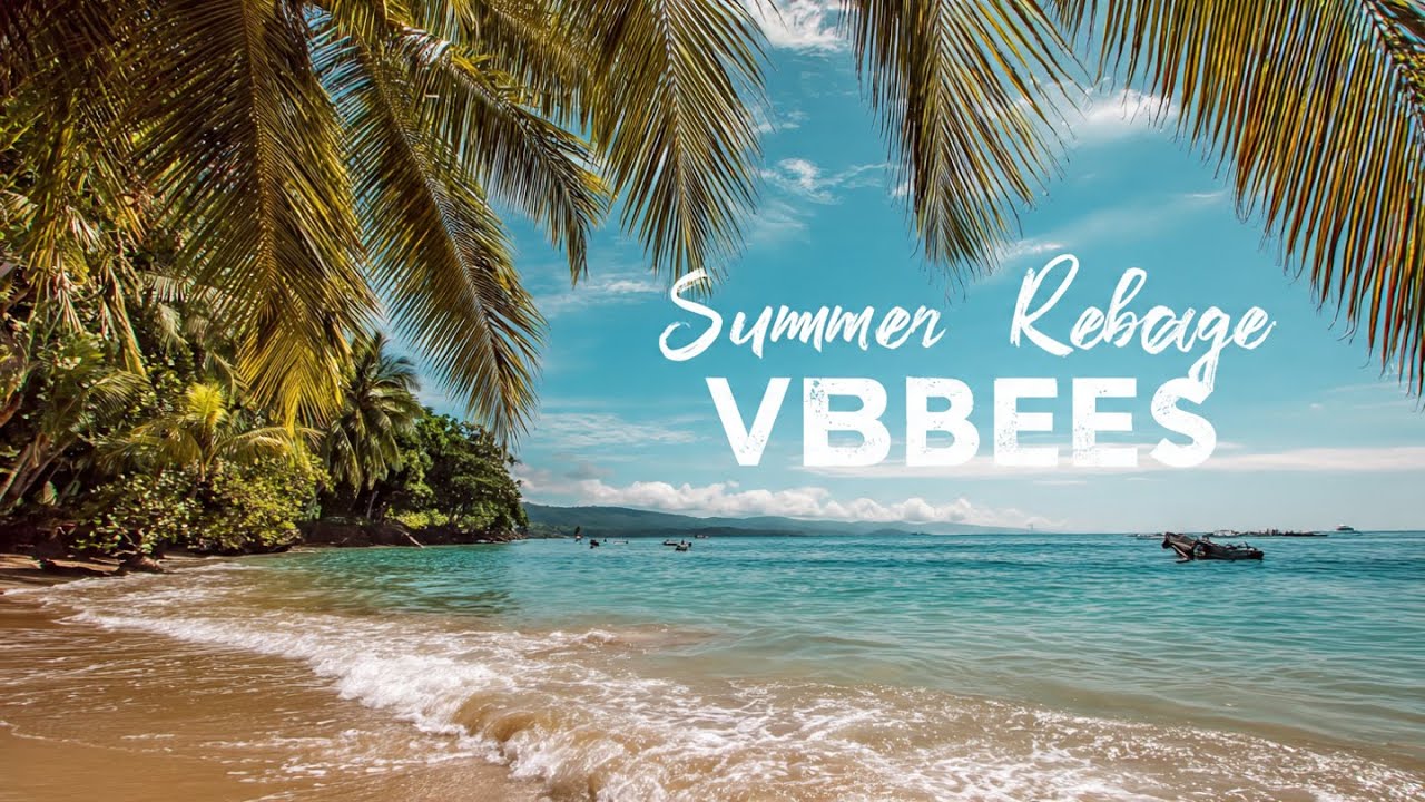 Living Without Money Summer Reggae Vibes ☀️ Feel Good Island Music