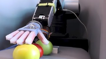 Scientists build a robotic hand with a soft touch | CNBC International