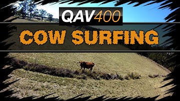Ultra Smooth QAV400 / Naze32 Cow Surfing