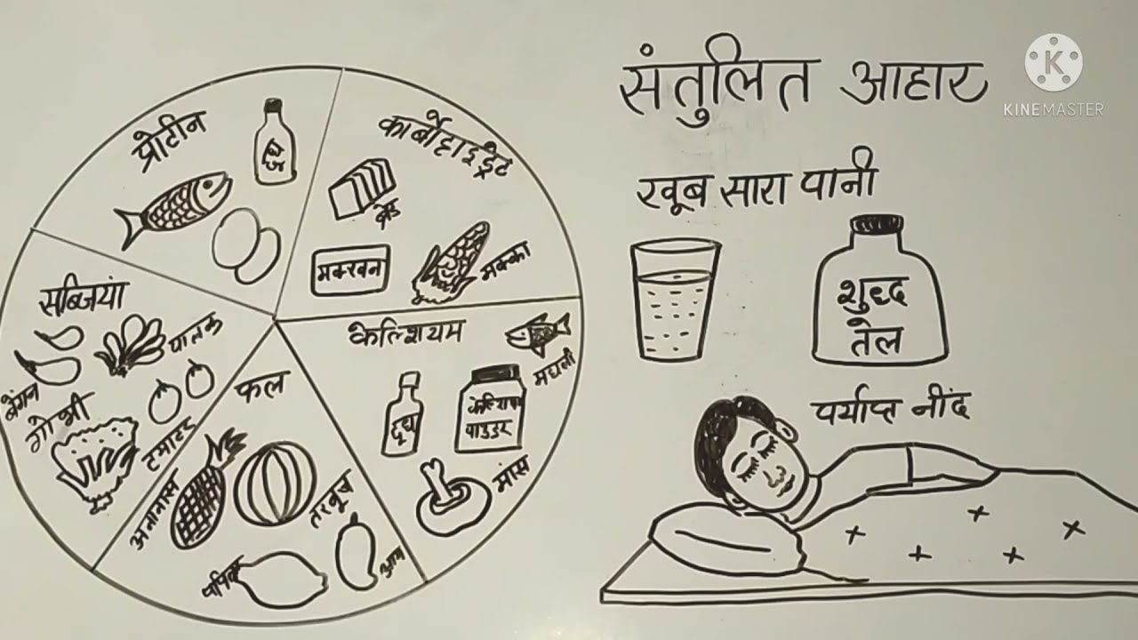 Santulit Bhojan Drawing on A4 sheet How To Draw Balanced Diet Chart How  To Draw Healthy Plate  YouTube