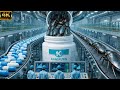 Inside the Cockroach Medicine Factory: How Billions Become Kangfuxin