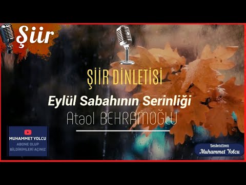 EYLÜL SABAHININ SERİNLİĞİ | ATAOL BEHRAMOĞLU ( Eylül Şiiri )