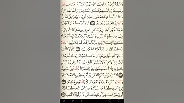 ماهر المعيقلي سورة البقرة مكتوبة صفحة 45 مصحف المدينة المنورة جودة عالية