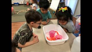 Hampton Bays SCOPE Pre-K AM Graduation 2018
