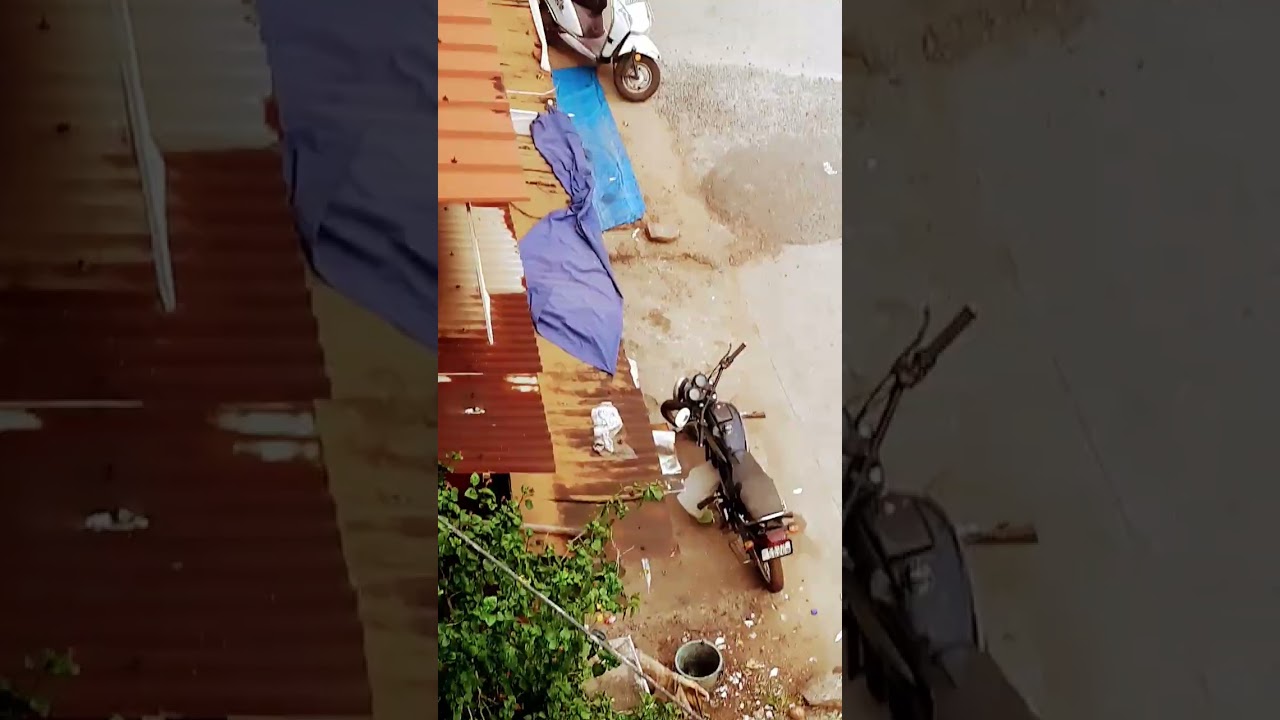 Too much trash. If anyone sees this video don't put trash just spread greens 🏞️🎄🌳🌴