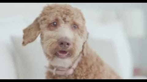 What We Believe | Professional Photo Printing | Nations Photo Lab