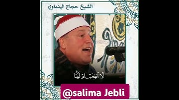 آيات بينات من الذكر الحكيم بصوت الشيخ حجاج الهنداوي .