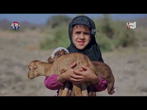 مشاوير 2 (16) | كريتر... جولة في قلب عدن القديمة
