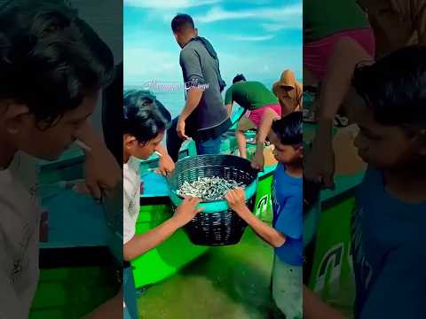 نتائج الصيد اليوم الصيادون التقليديون الشورتات نتائج الصيد الرائج الصيادون التقليديون