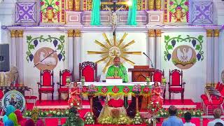 Daily HolyMass 17/06/2026 @6.00AM From Manjumatha Basilica Pallipuram