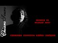 Сценарная Структура Блейка Снайдера - цикл мастер-классов ChiaroScuro - автор Винсент Меттель