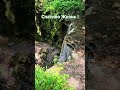 Спасибо , Жизнь ! Природа торжествует ! #shortsvideo #природа #nature #стихи #благодарность #водопад