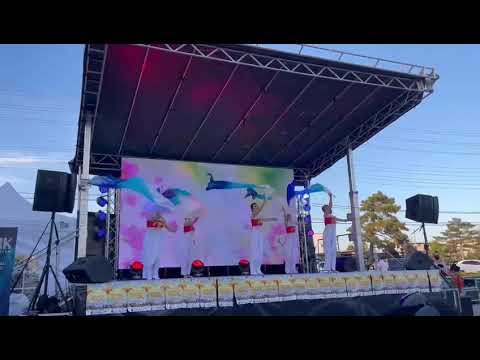 《梅花赋》，还是那个长扇子，动作不变换个音乐再换身衣服又可以当新舞跳了，不知看官们看出来没有。