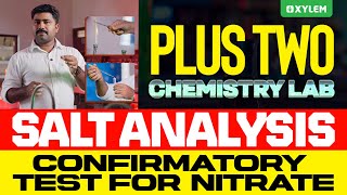 Famous Plus Two Chemistry Lab | Salt Analysis - Confirmatory Test For Nitrate | Xylem Plus Two Profile