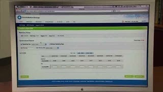 How to Manage Your Energy Usage with Constellation Energy VirtuWatt