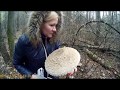 Грибы ЗОНТИКИ Нашли гигантские грибы