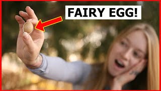 Chicken Laid Tiny Egg - What Is A Fairy Egg