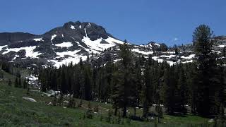 Eldorado National Forest | Wikipedia audio article