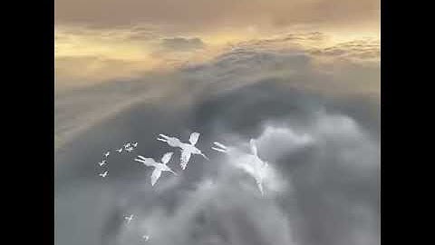 3D flocking algorithm