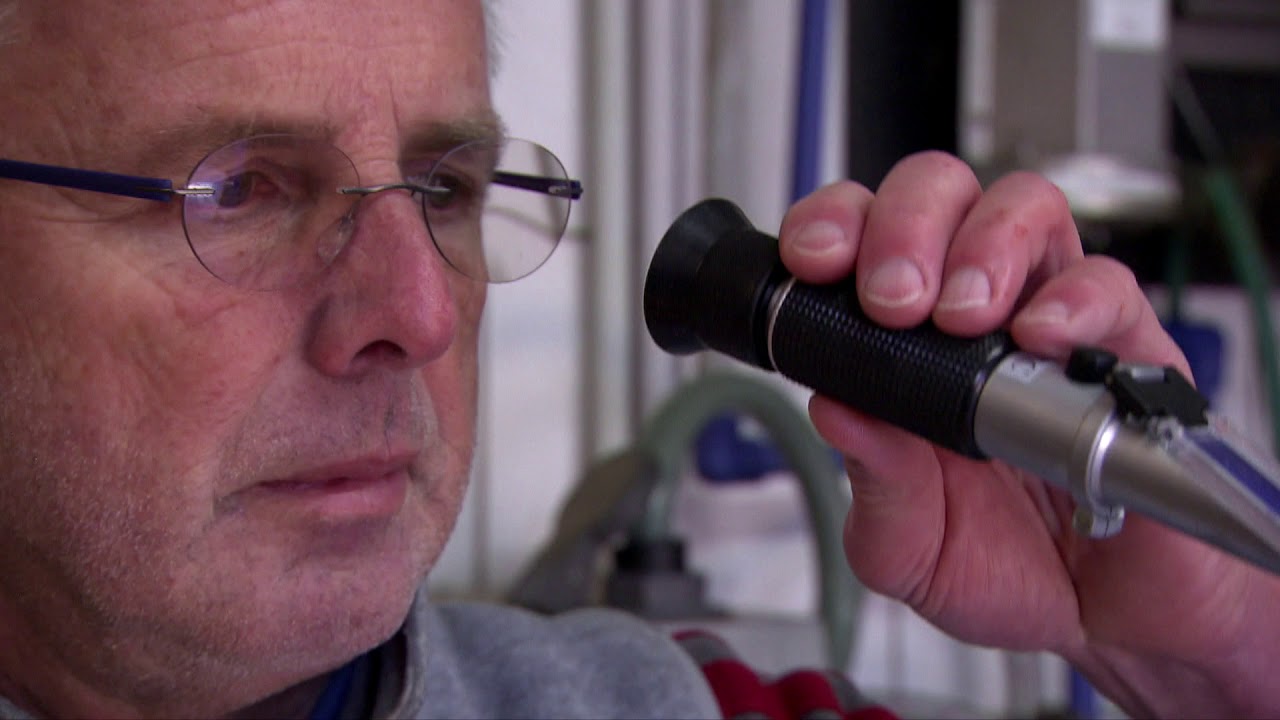 Professionelles Kolostrummanagement final