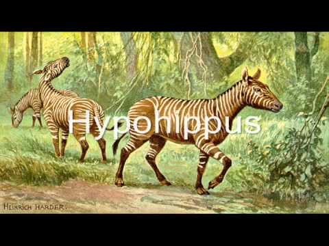 The Miocene Epoch - YouTube