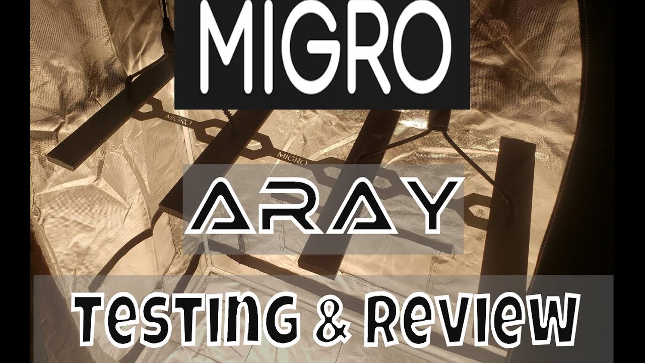 Migro Aray 4 PAR Testing & 240W 4 Bar Led Grow Light Strips - YouTube