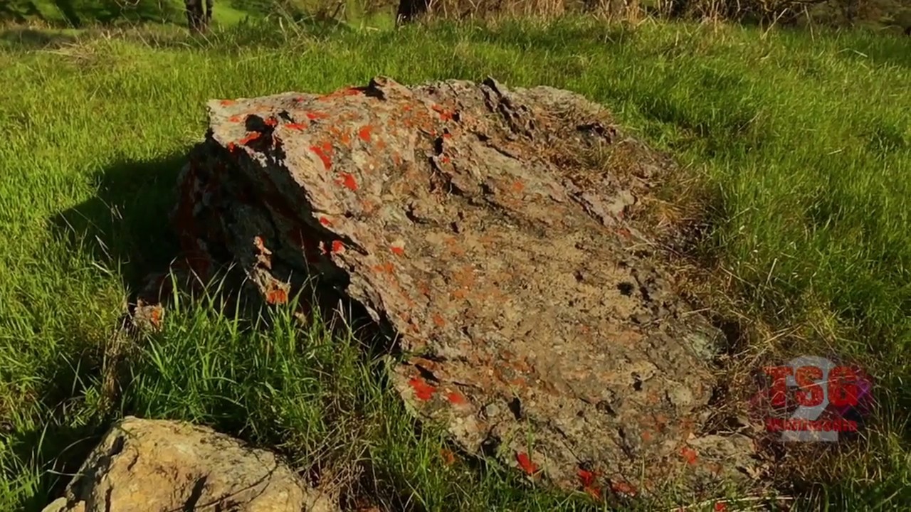 Naturescapes 34 Apple IPhone Slow Motion YouTube