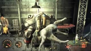 Fallout 4: EMMET THE DANCING CAT