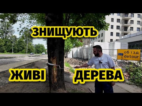 Прирекли дерева на смерть. На Липинського чергове знущання над простором міста. Чиновники мовчать.