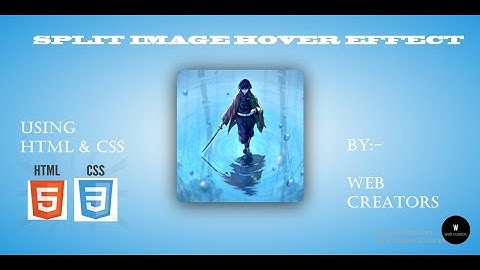 Image hover Effect Using HTML & CSS | Web Creators