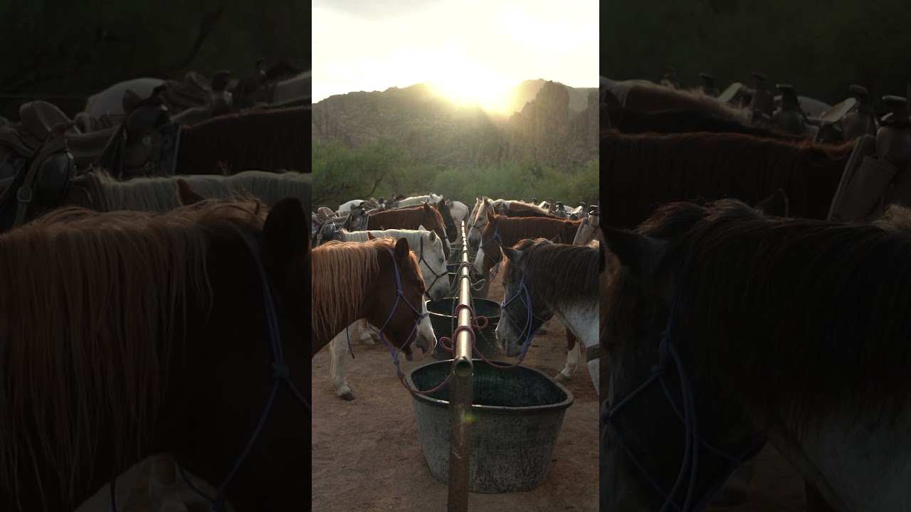 Experience Arizona's Hidden Gems | Luxury Dude Ranch Vacations