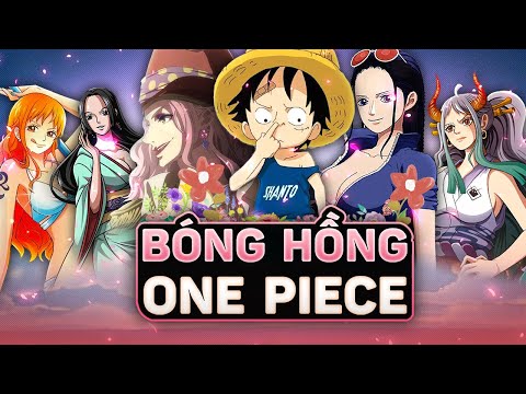 Video ONE PIECE | TOP 5 BÔNG HỒNG ĐẸP MÀ CÓ GAI - P1 - youtube