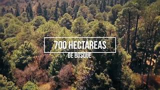 Fraccionamiento Buenavista Villa Turística