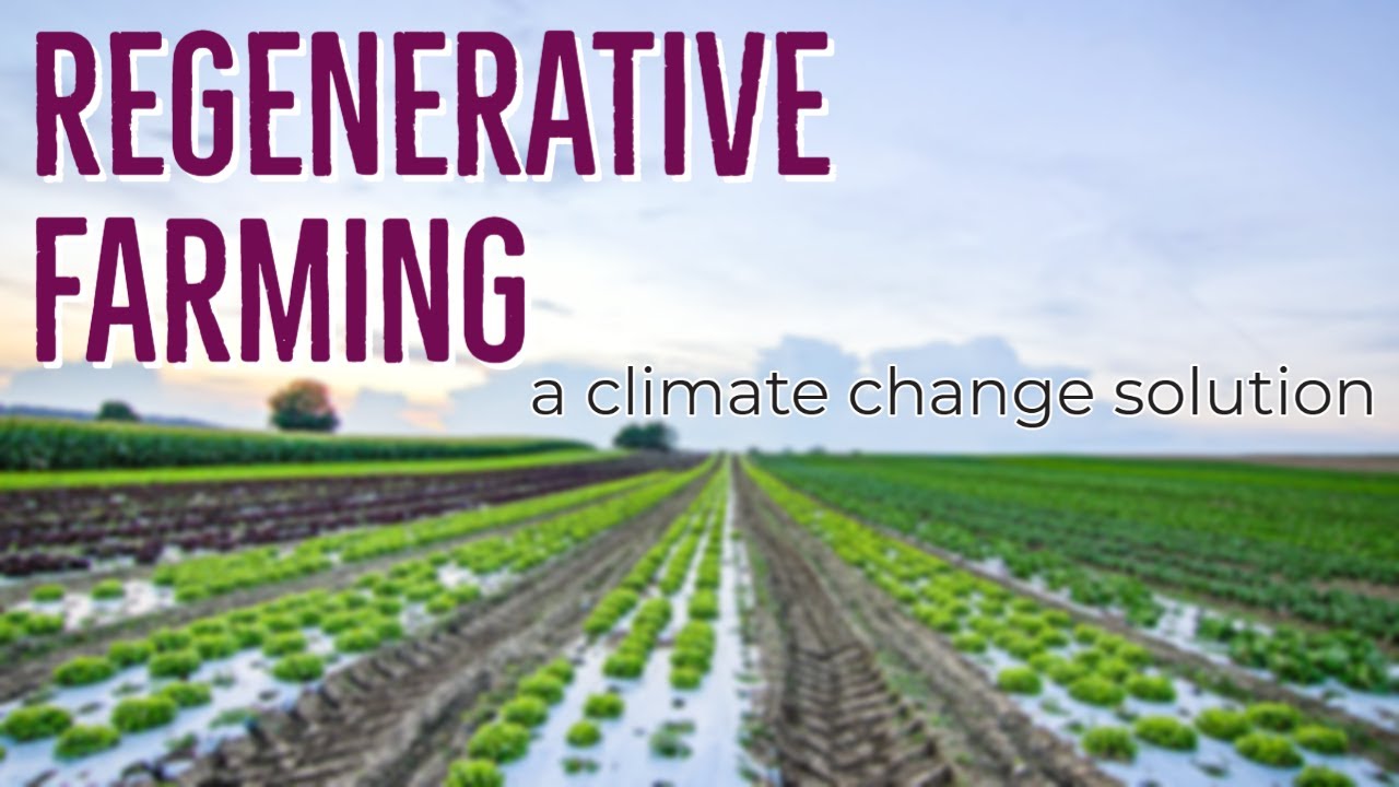 Regenerative Farming: A Climate Change Solution - YouTube