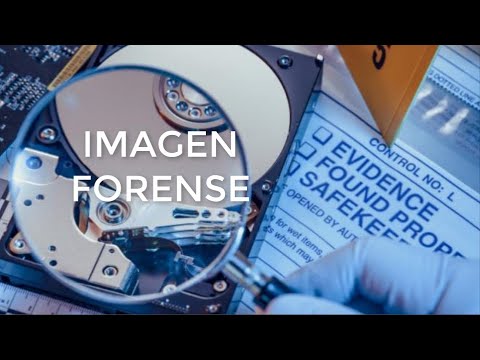 Video: ¿Qué puede hacer FTK Imager?